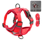 Escape-Proof Breathable Cat Harness and Leash