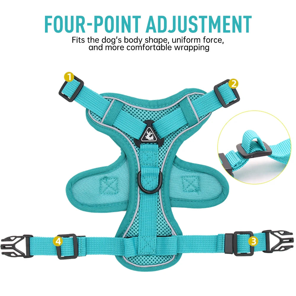 Escape-Proof Breathable Cat Harness and Leash