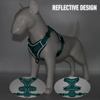Escape-Proof Breathable Cat Harness and Leash