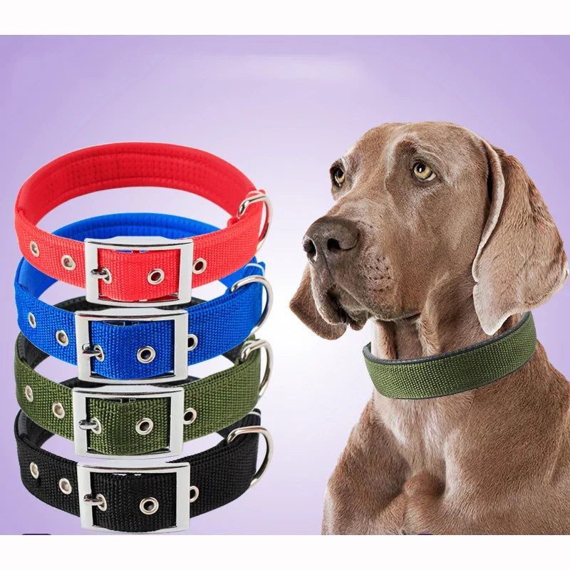 Solid Color Nylon Dog Collar - view 2