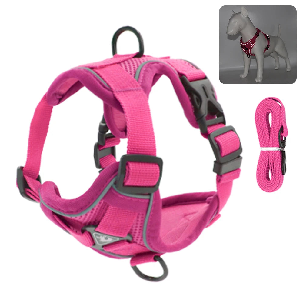 Escape-Proof Breathable Cat Harness and Leash