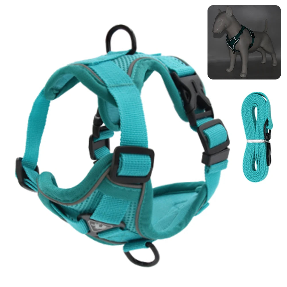 Escape-Proof Breathable Cat Harness and Leash