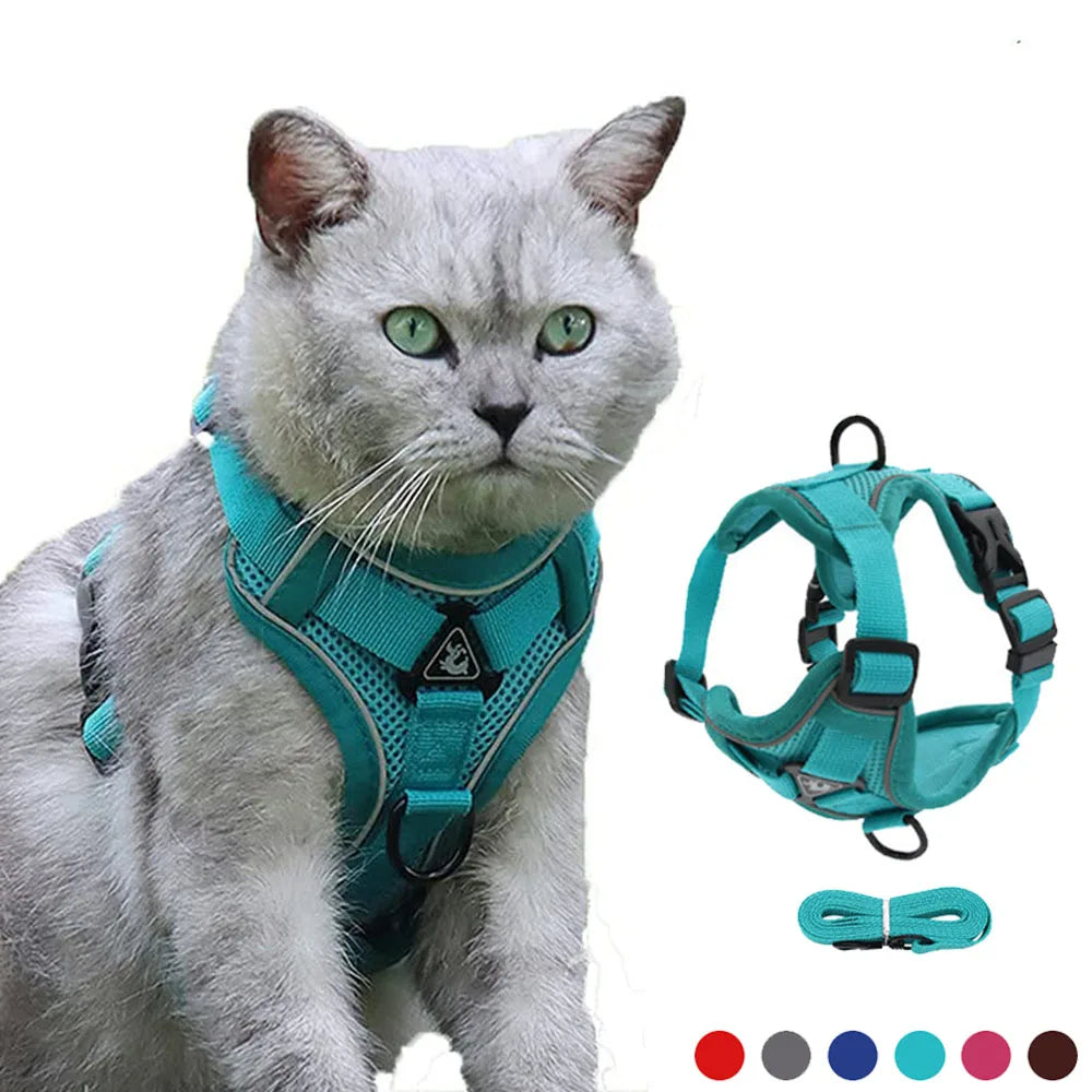 Escape-Proof Breathable Cat Harness and Leash