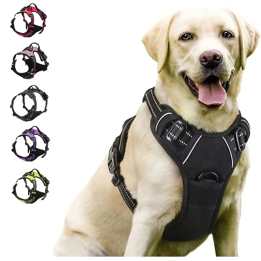 Leather Dog Collar, Harness and Leash Set
