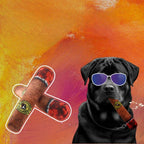 Squeaky Plush Cigarette Dog Toy, Bite-Resistant - view 2