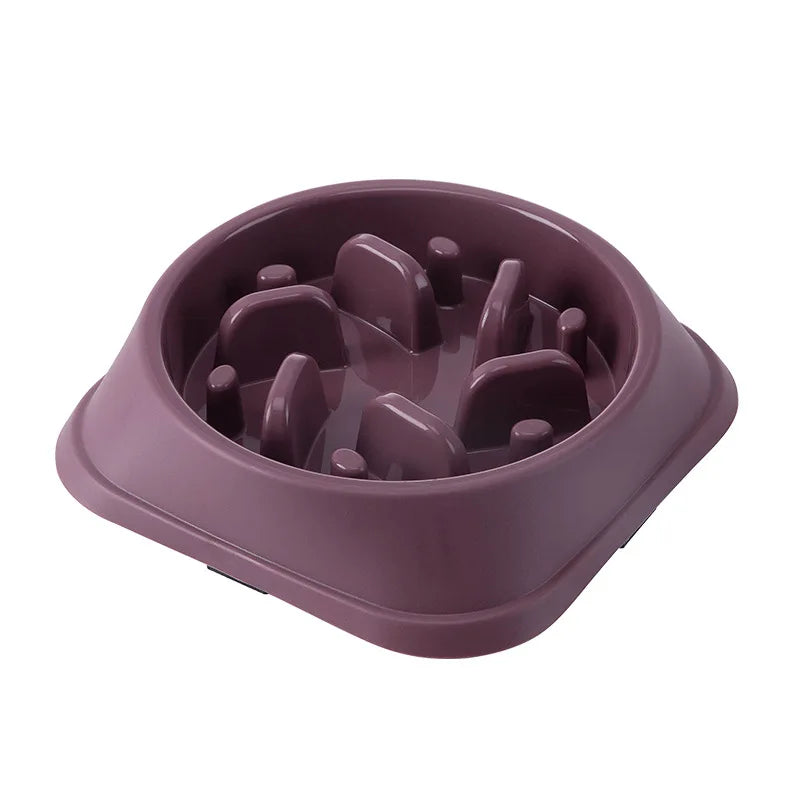 Anti-Choke Slow Feeder Bowl for Dogs and Cats - view 25