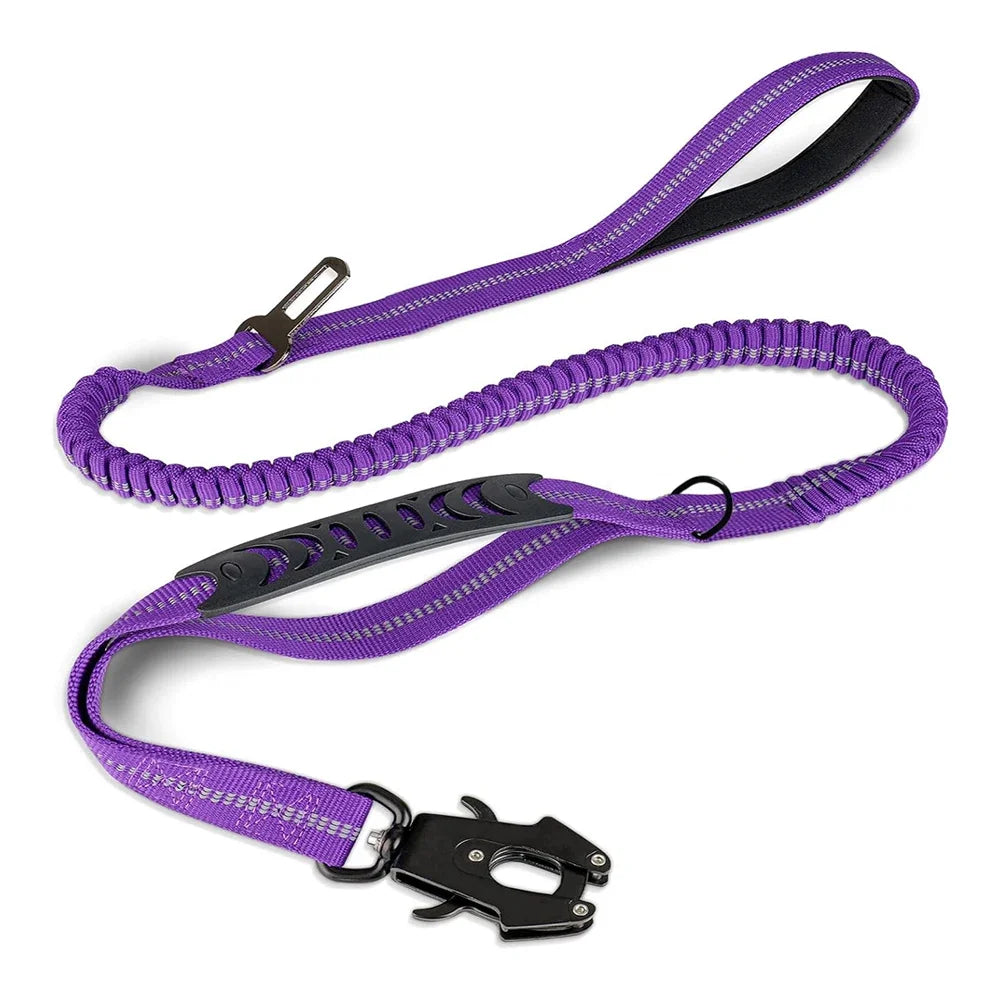 Shock-Absorbing Bungee Dog Leash with Car Seatbelt