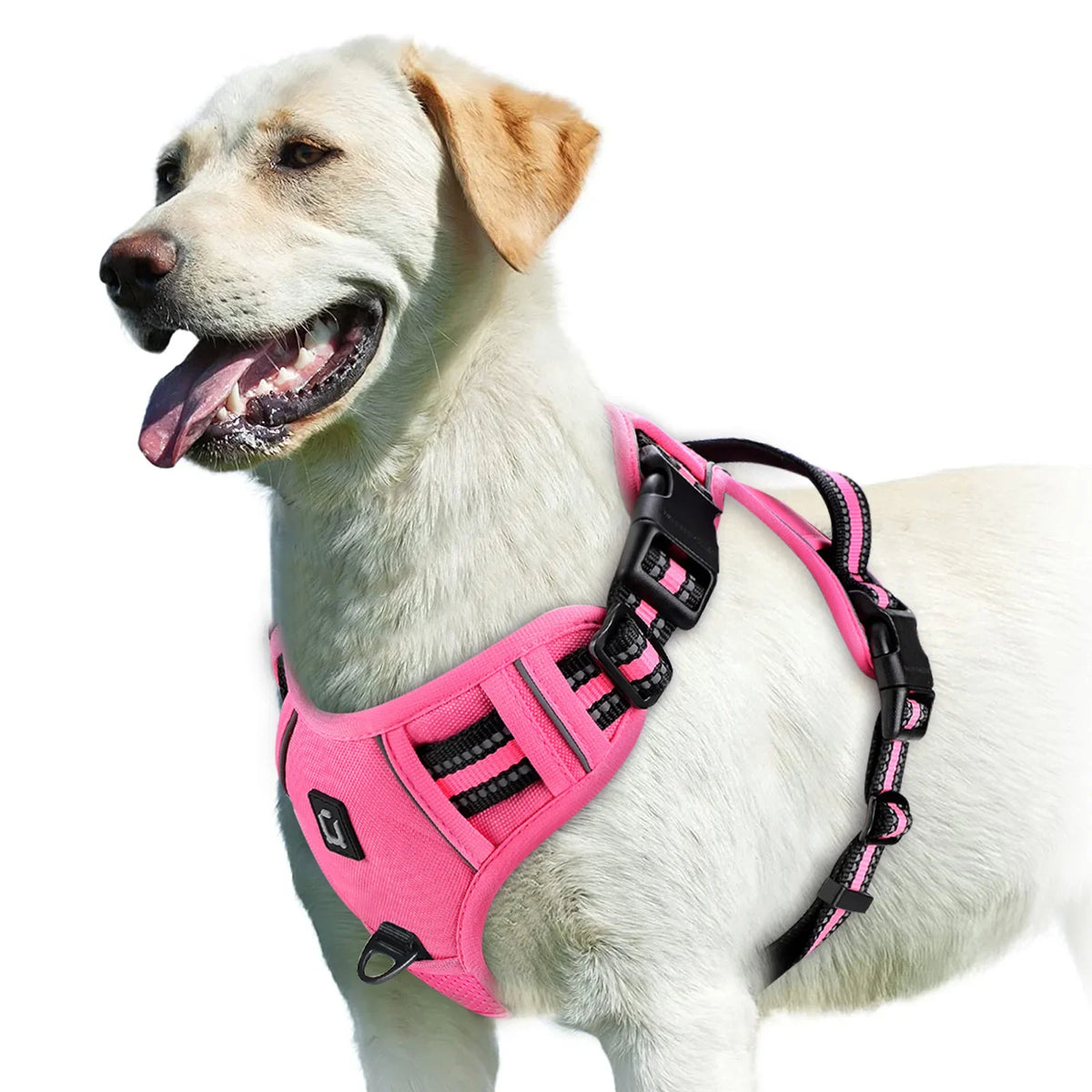 No-Pull Padded Dog Harness with Handle - view 8