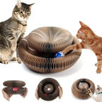 Cat Scratching Organ Board Toy with Ball