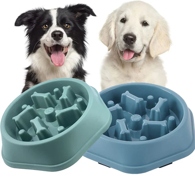 Anti-Choking Slow-Feeder Dog Bowl