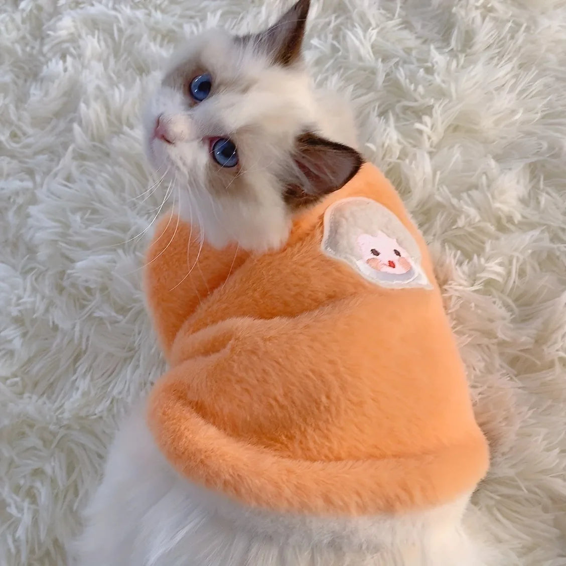 Warm Winter Sweater Vest for Cats and Small Dogs - view 8