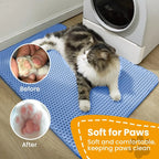 Double-Layer Waterproof Cat Litter Mat, Large