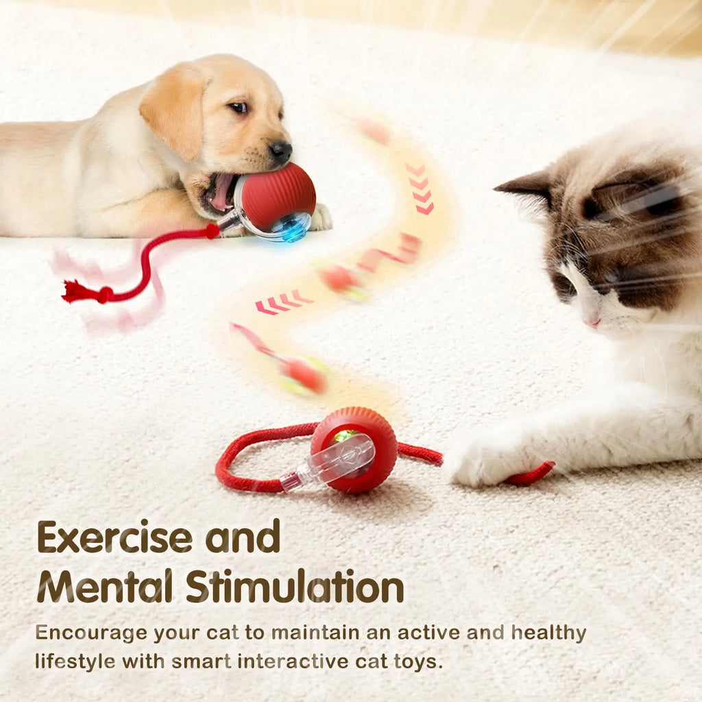Rechargeable Smart Rolling Ball Cat Toy with Tail - view 3