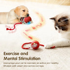 Rechargeable Smart Rolling Ball Cat Toy with Tail - view 3
