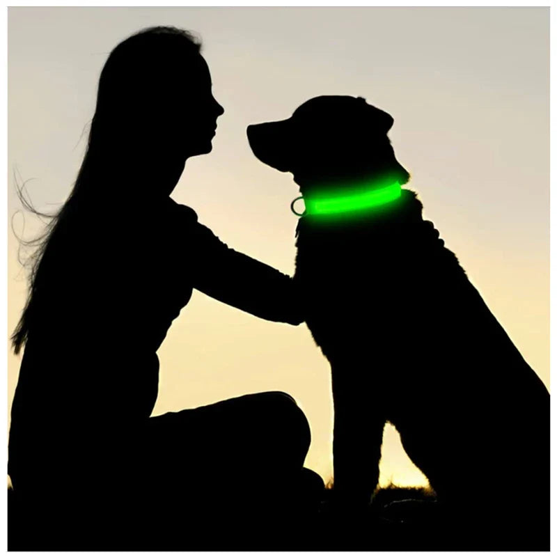 USB Rechargeable LED Dog Collar, 3 Light Modes - view 4