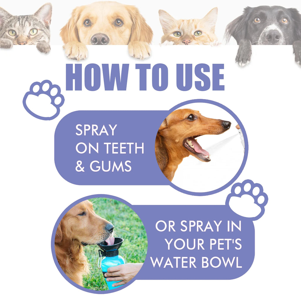 Pet Dental Spray for Fresh Breath and Plaque Control