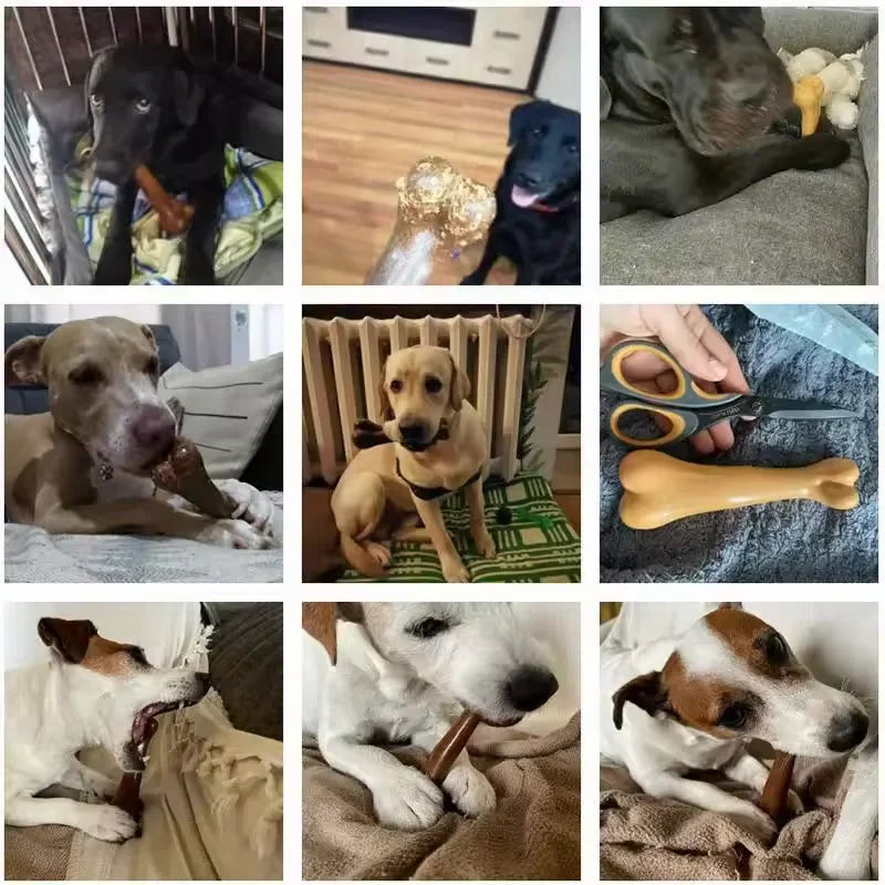 Natural Non-Toxic Dog Chew Bone