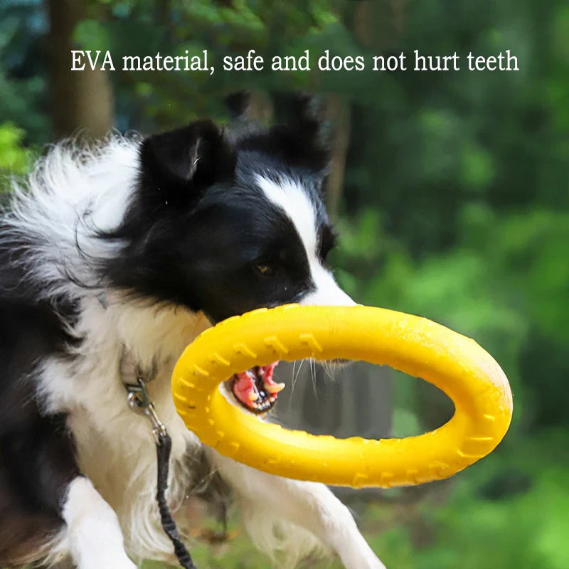 4-Piece Durable Dog Toy Set