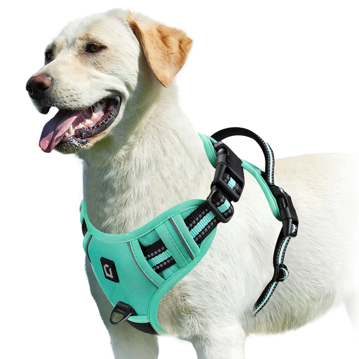 No-Pull Padded Dog Harness with Handle - view 11