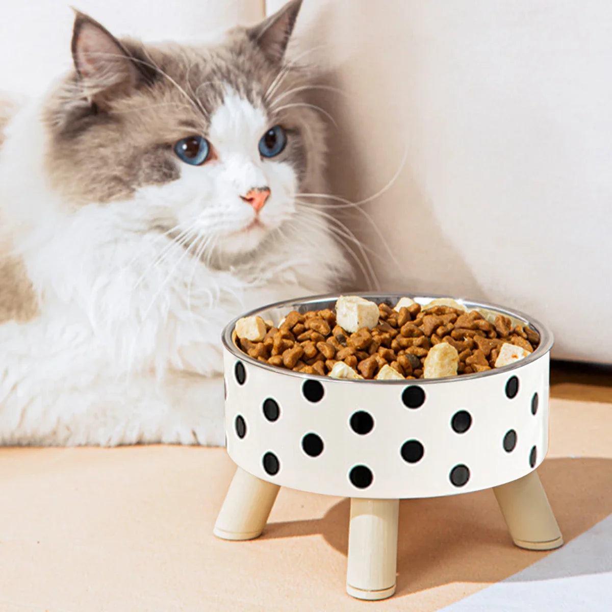 Polka Dot Non-Slip Stainless Steel Bowl for Cats and Dogs - view 3