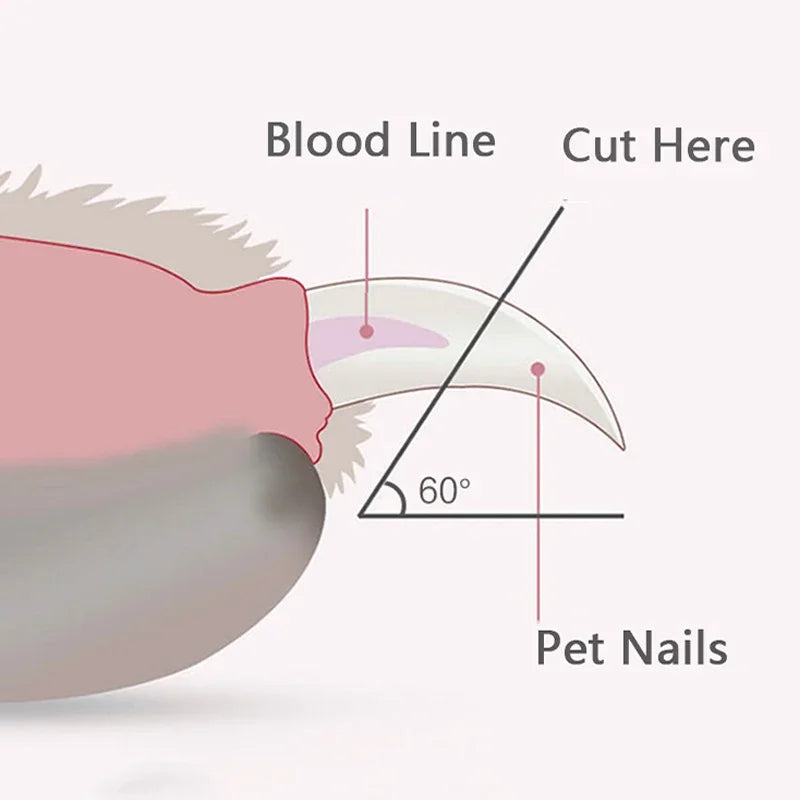 LED Nail Clippers for Dogs, Cats and Rabbits - view 5