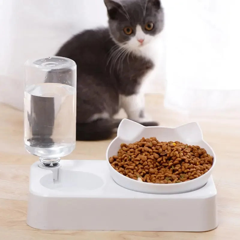 Tilted Pet Feeding Bowl, Cervical Protection