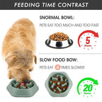Anti-Choking Slow-Feeder Dog Bowl