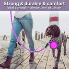 Reflective Dog Leash, Multiple Sizes