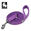 Truelove Padded Reflective Pet Leash