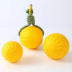 Durable EVA Chew Ball Toy for Dogs - view 5
