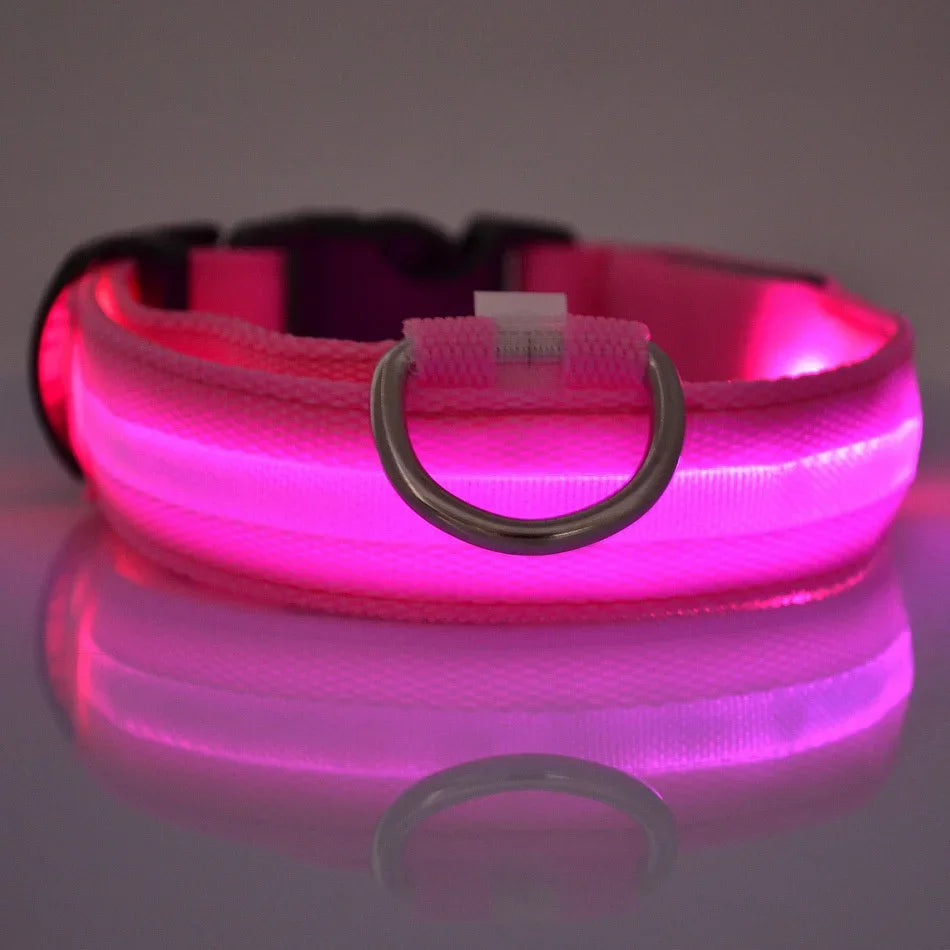 Glow-in-the-Dark LED Dog Leash - view 4