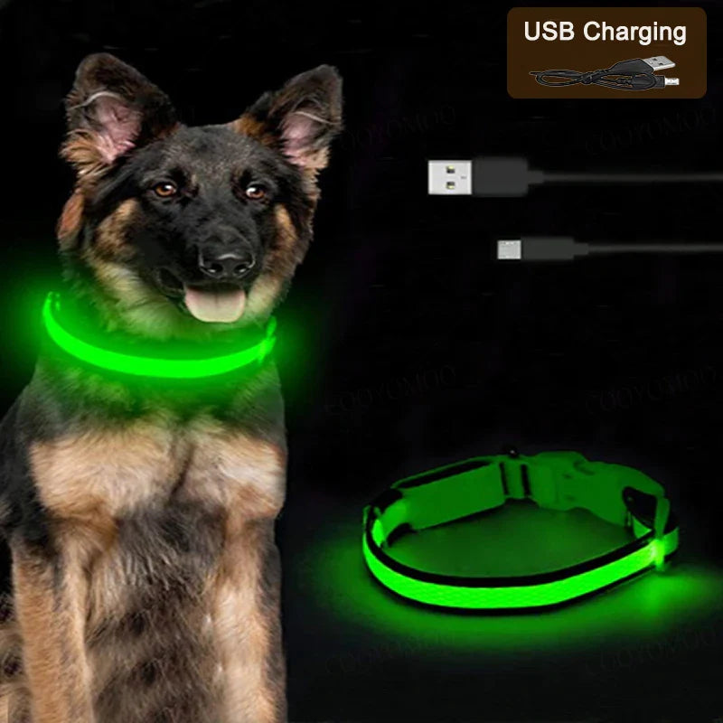 USB Rechargeable LED Dog Collar, 3 Light Modes