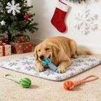 Braided Rope Treat Ball Chew Toy for Dogs