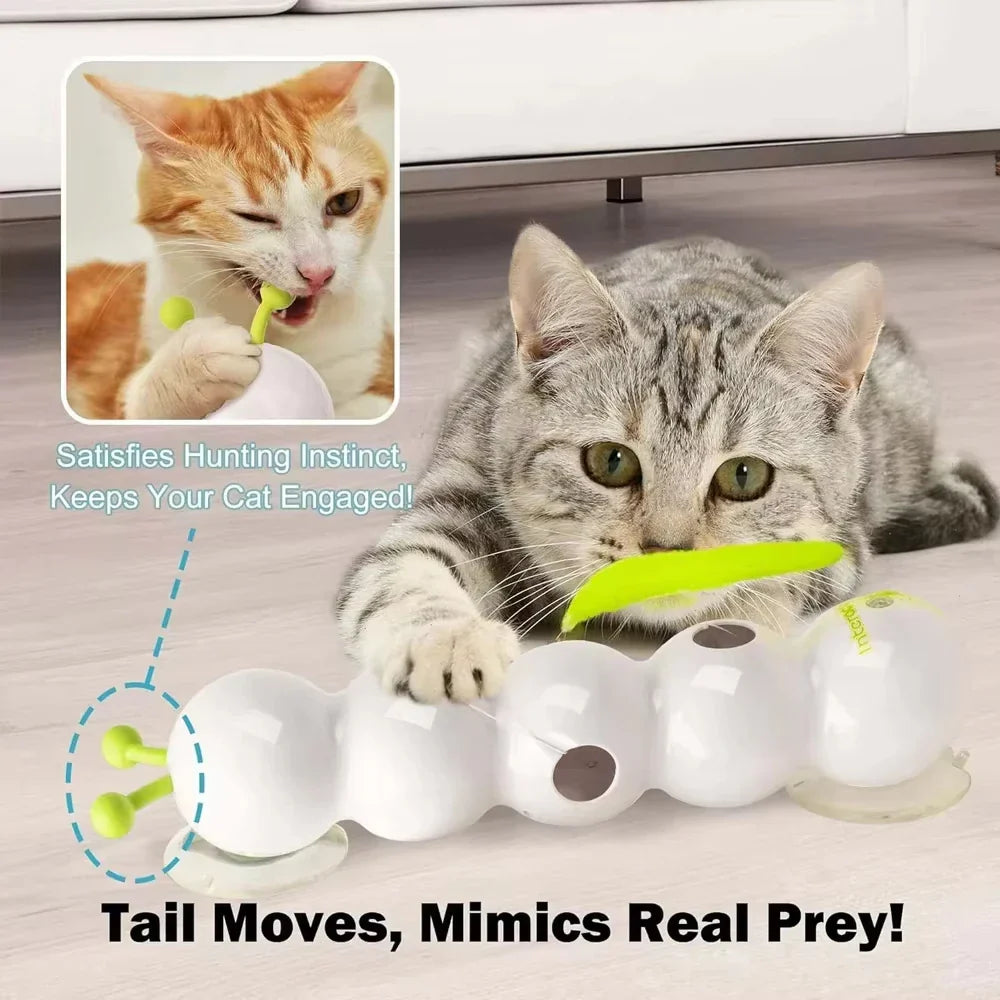 Motion-Activated Whack-a-Worm Cat Toy