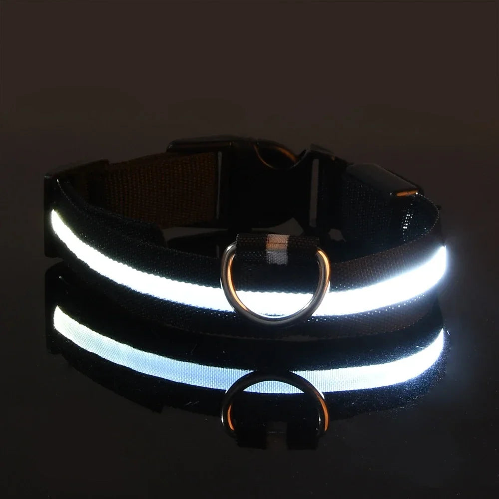 Glow-in-the-Dark LED Dog Leash - view 9