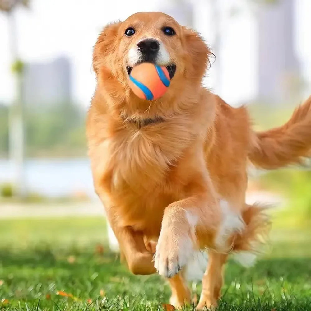 Durable Rubber Fetch Ball for Dogs