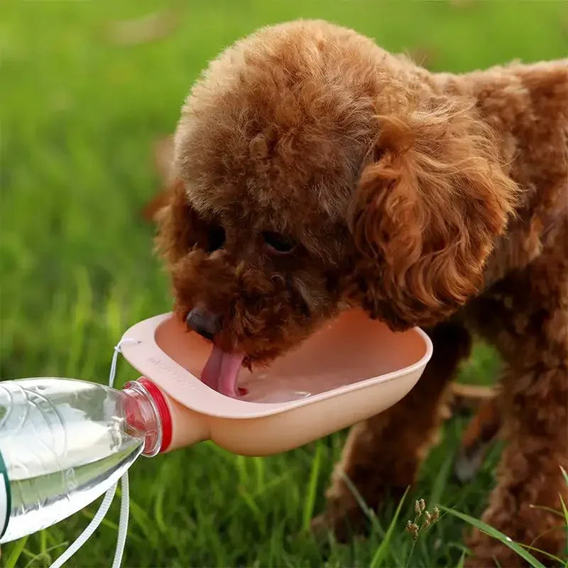 Portable Travel Water Bottle and Bowl for Dogs