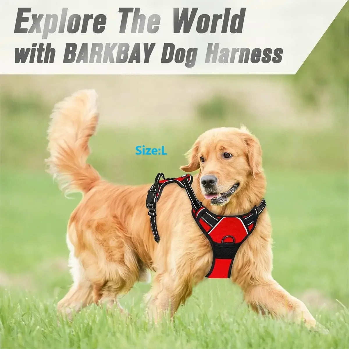 No-Pull Front-Clip Dog Harness - view 4