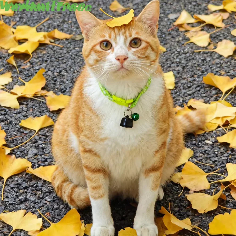 Mini Smart Tracking Tag for Dogs and Cats