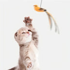 Suction Cup Bird Feather Cat Teaser Wand Toy - view 6