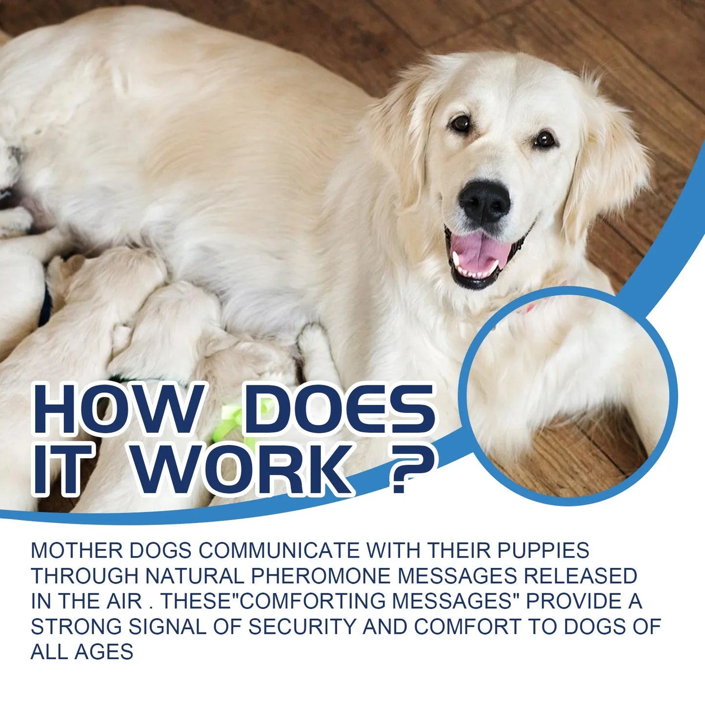 Dog Calming Liquid Noise Reduction Anti Anxiety Relieve Emotions Stress Prevent Howling Fighting Soothing Cat Calming Diffuser