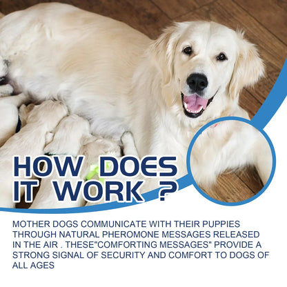 Dog Calming Liquid Noise Reduction Anti Anxiety Relieve Emotions Stress Prevent Howling Fighting Soothing Cat Calming Diffuser