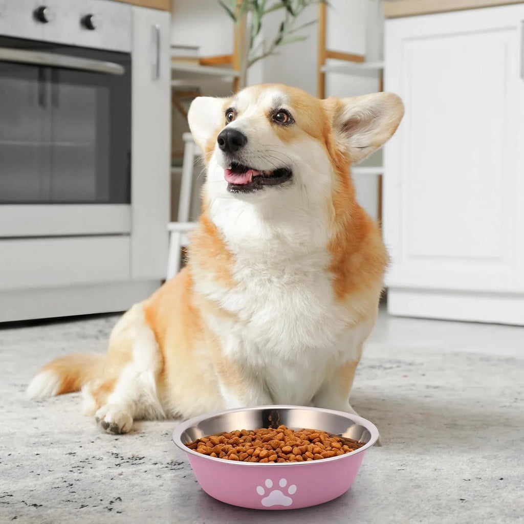 Non-Slip Stainless Steel Dog Bowl