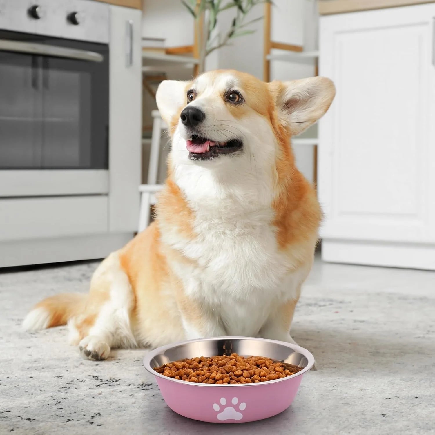 Non-Slip Stainless Steel Dog Bowl