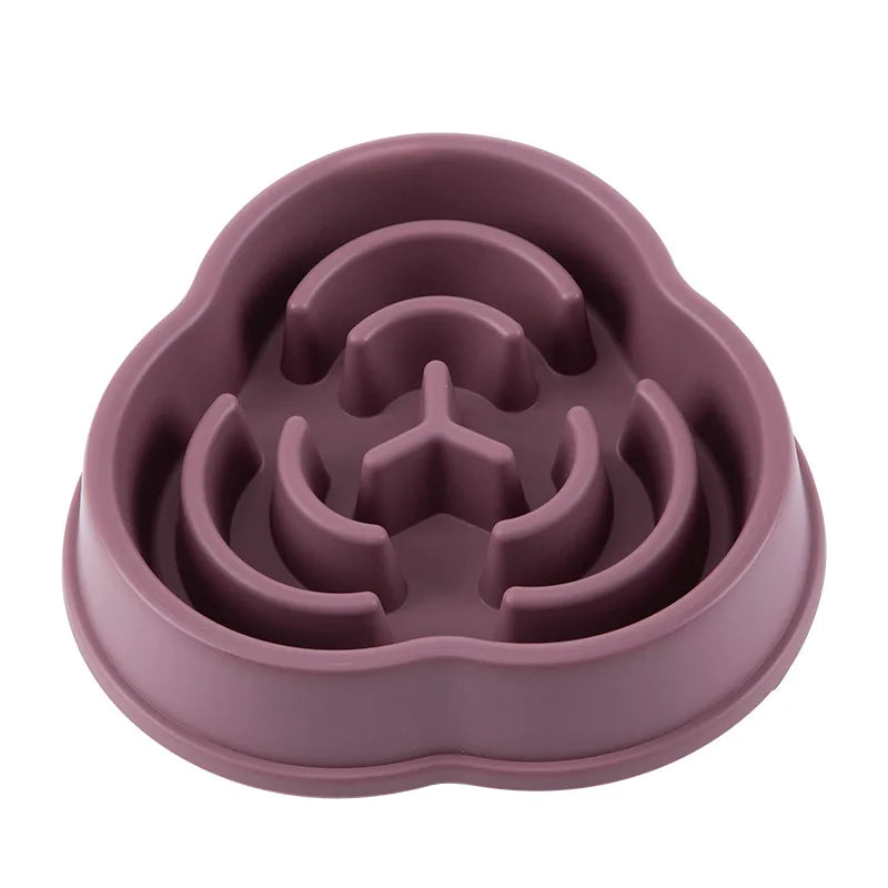 Anti-Choke Slow Feeder Bowl for Dogs and Cats - view 9