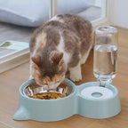 Automatic Pet Food and Water Fountain