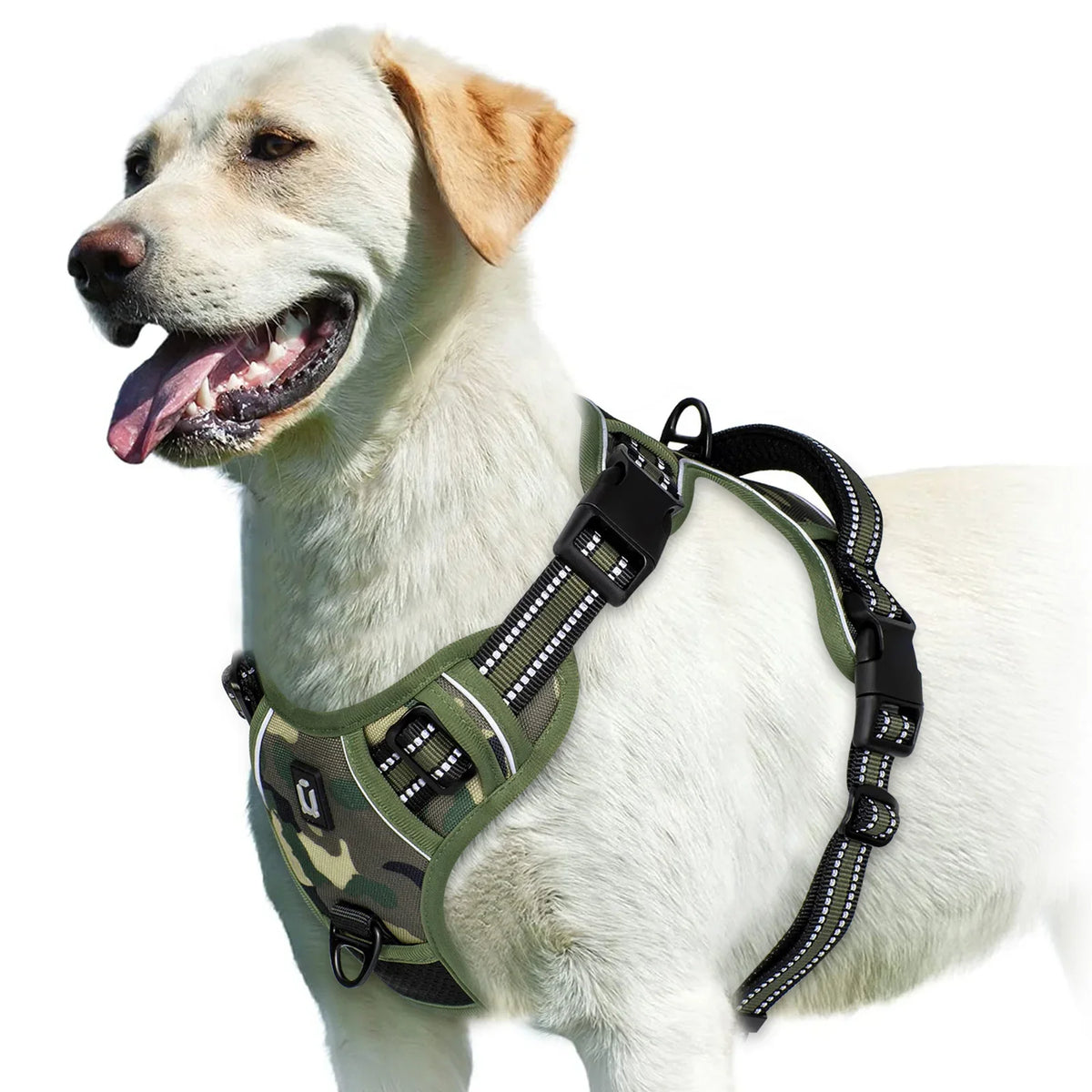 No-Pull Padded Dog Harness with Handle - view 15