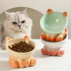 Tilted Ceramic Raised Bowl for Cats and Dogs - view 4