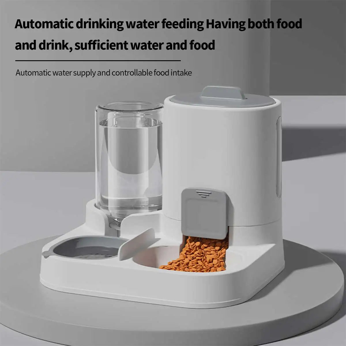 Large 2-in-1 Food and Water Feeder for Small Dogs and Cats - view 5