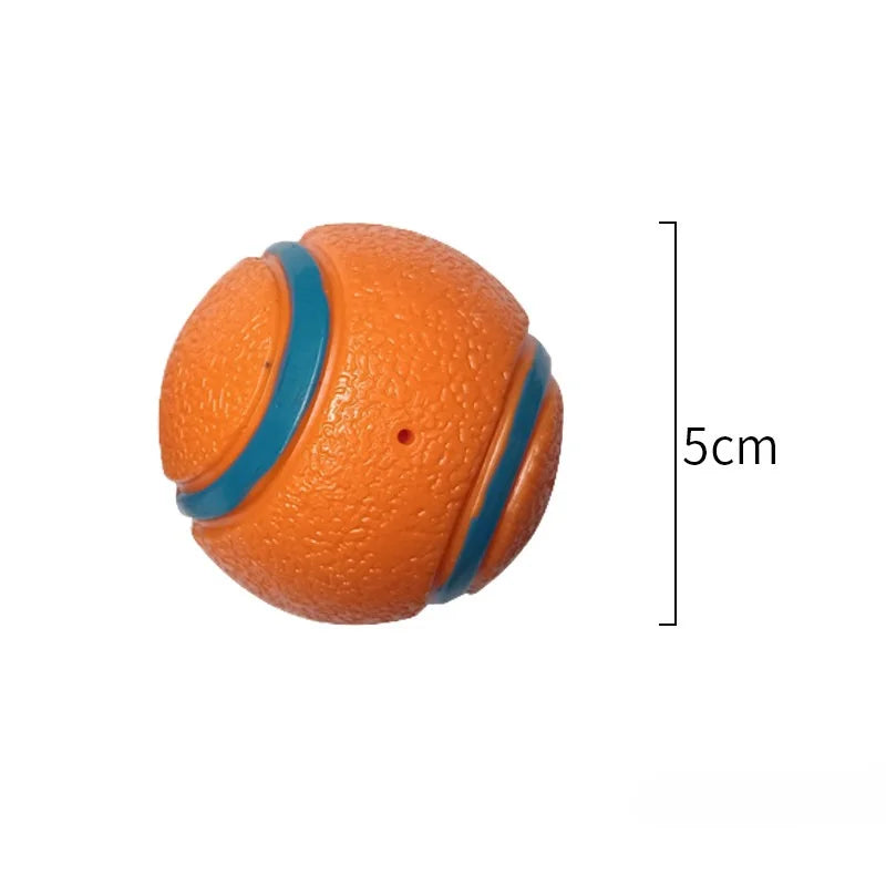 Durable Rubber Fetch Ball for Dogs